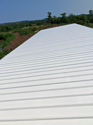 重庆某养猪场